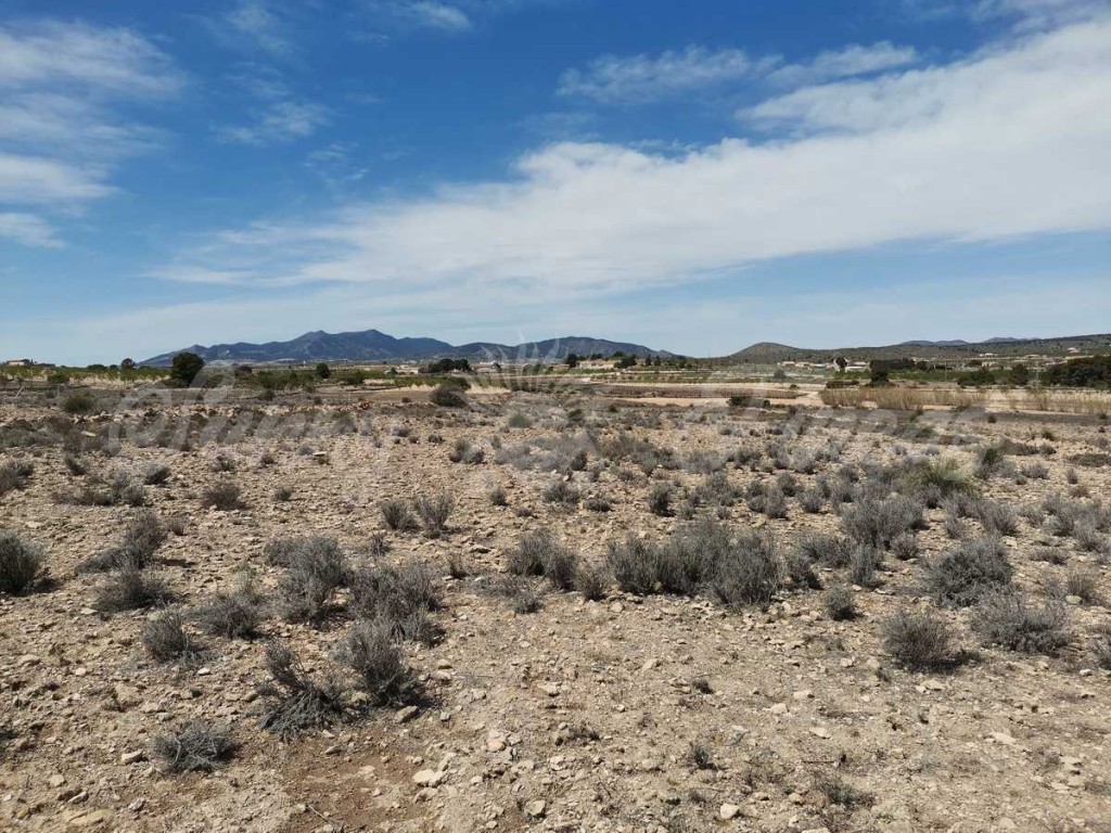 Suelo urbanizable en Venta en Pinoso Alicante - foto 4