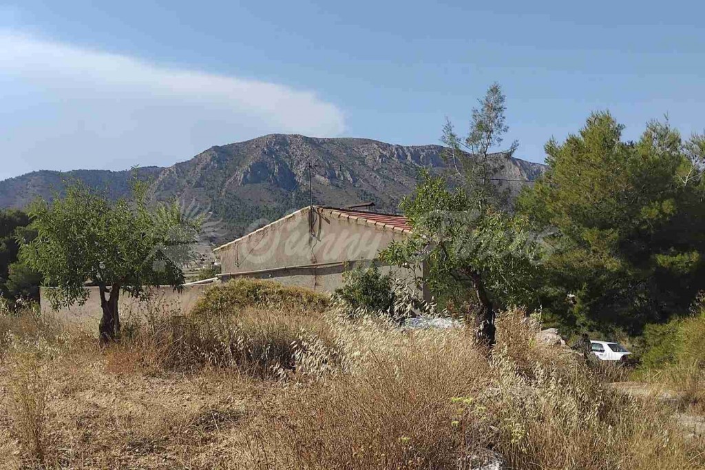Casa de campo-Masía en Venta en Romana, La Alicante - foto 2