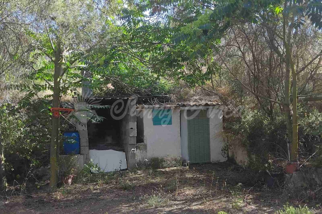 Casa de campo-Masía en Venta en Romana, La Alicante - foto 23