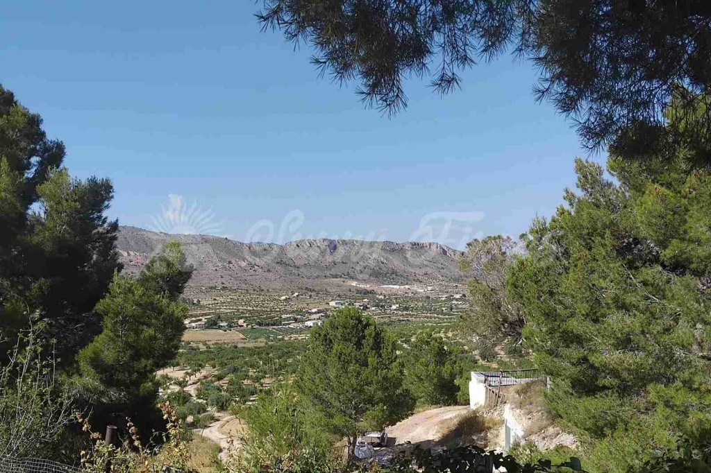 Casa de campo-Masía en Venta en Romana, La Alicante - foto 24