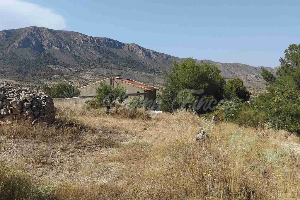Casa de campo-Masía en Venta en Romana, La Alicante - foto 25