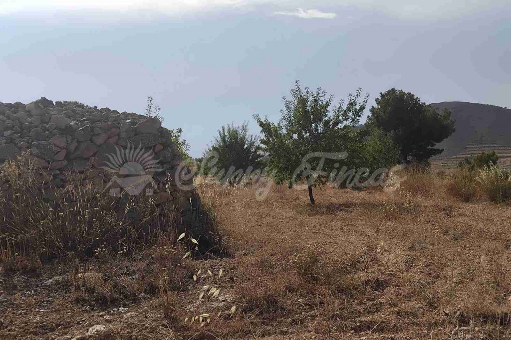 Casa de campo-Masía en Venta en Romana, La Alicante - foto 26