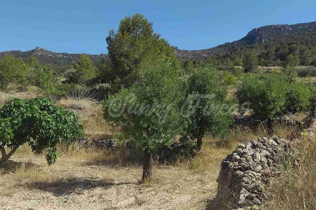 Casa de campo-Masía en Venta en Romana, La Alicante - foto 27