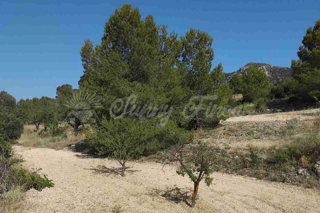 Casa de campo-Masía en Venta en Romana, La Alicante - foto 28