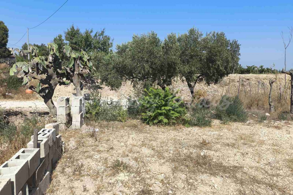 Casa de campo-Masía en Venta en Romana, La Alicante - foto 24