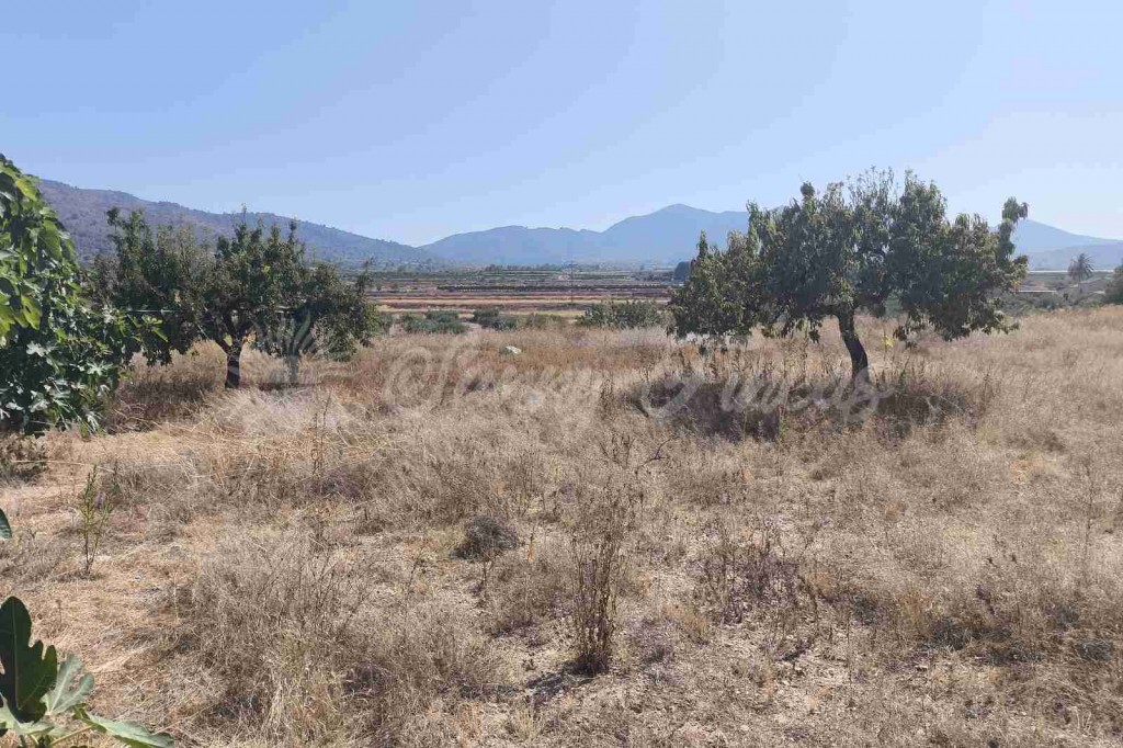 Casa de campo-Masía en Venta en Romana, La Alicante - foto 25