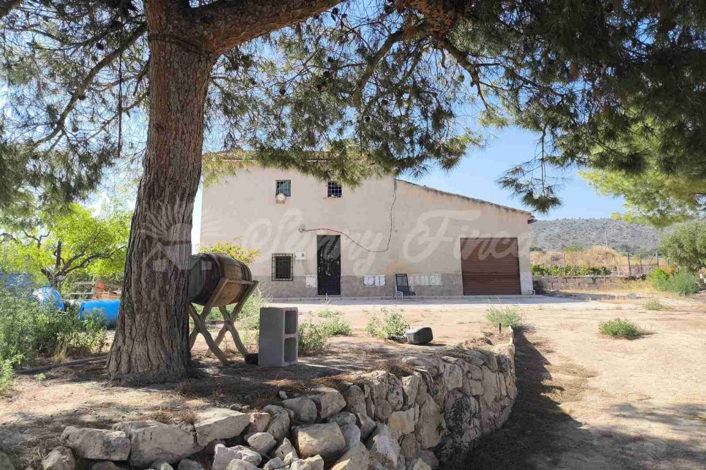 Casa de campo-Masía en Venta en Romana, La Alicante - foto 28