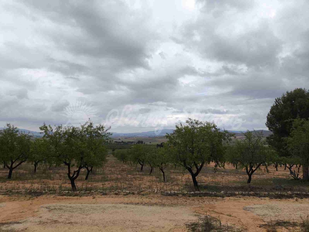 Suelo urbanizable en Venta en Yecla Murcia