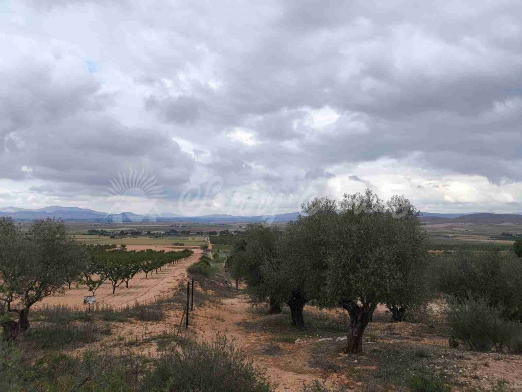 Suelo urbanizable en Venta en Yecla Murcia - foto 2