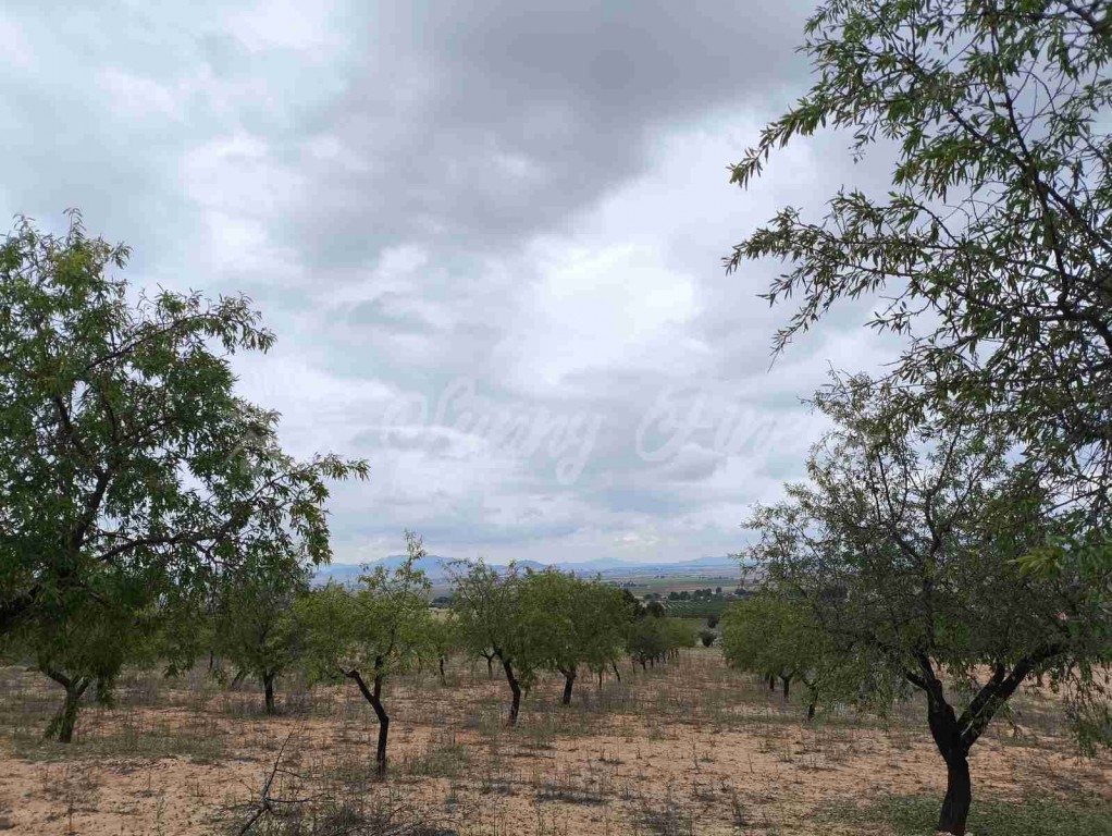 Suelo urbanizable en Venta en Yecla Murcia - foto 11