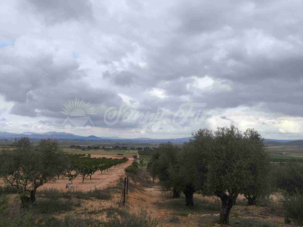 Suelo urbanizable en Venta en Yecla Murcia - foto 14