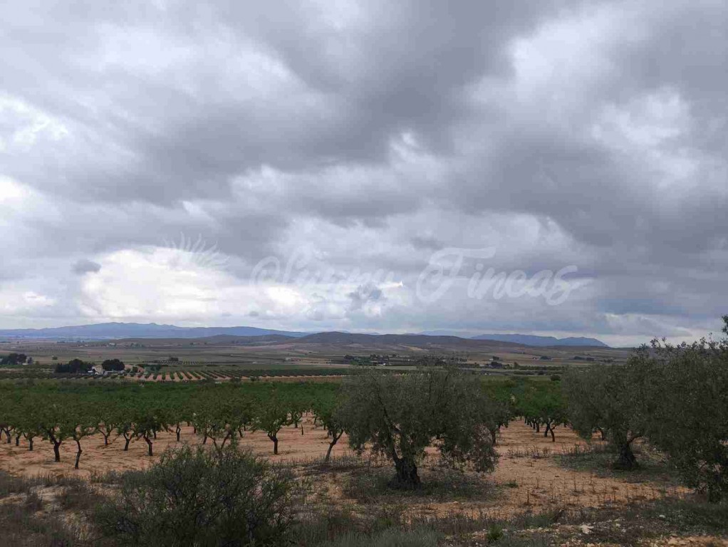 Suelo urbanizable en Venta en Yecla Murcia - foto 15
