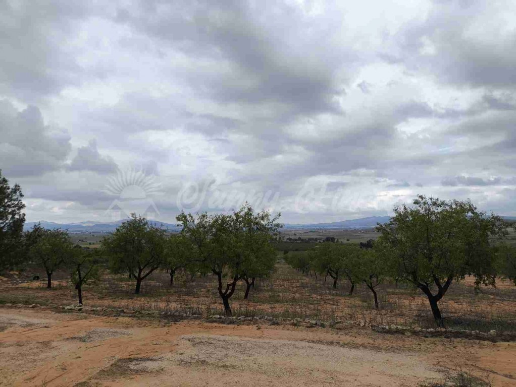 Suelo urbanizable en Venta en Yecla Murcia - foto 18
