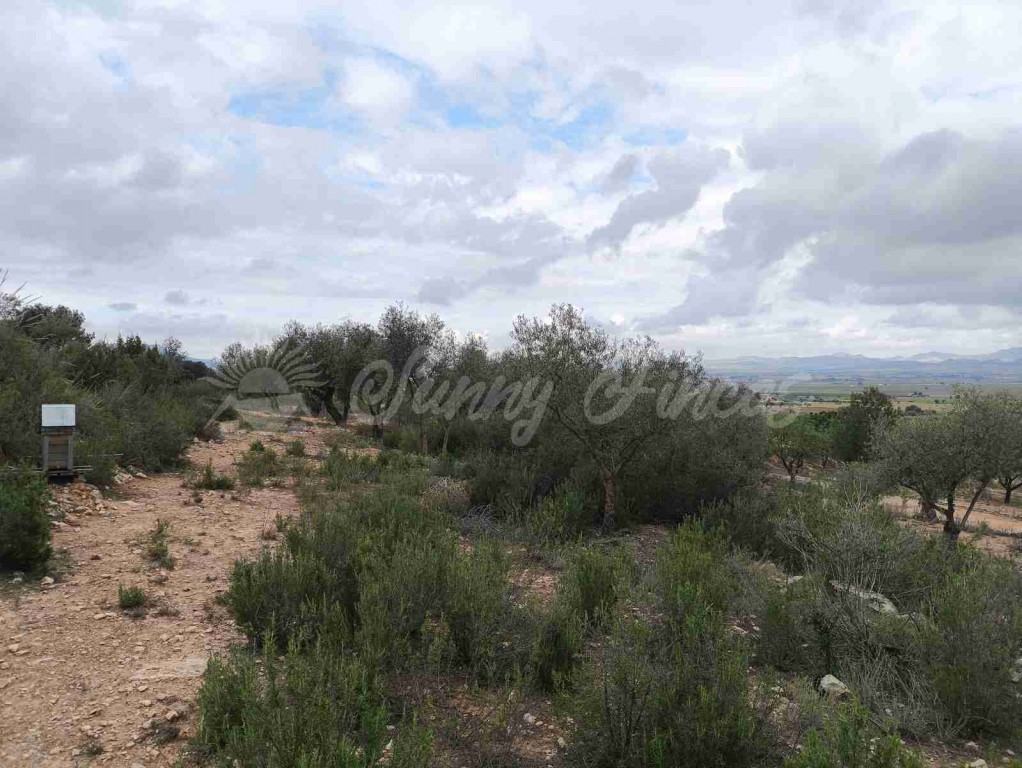 Suelo urbanizable en Venta en Yecla Murcia - foto 3