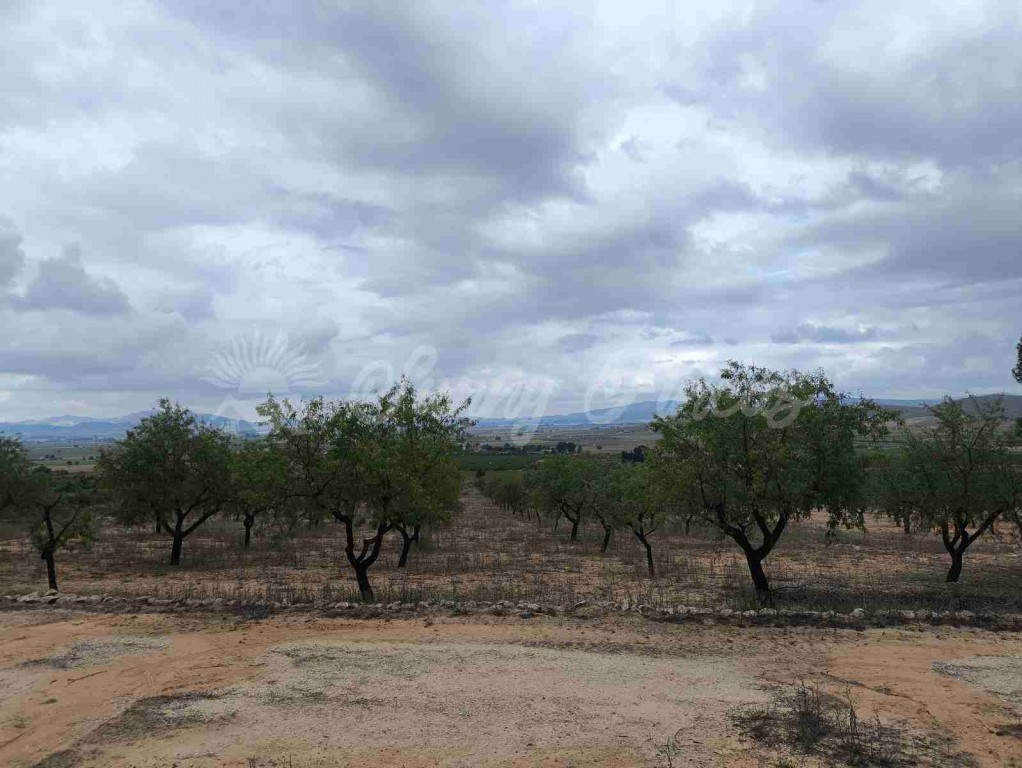 Suelo urbanizable en Venta en Yecla Murcia - foto 7