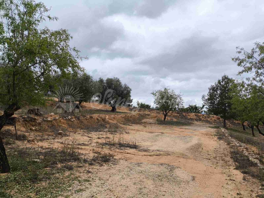 Suelo urbanizable en Venta en Yecla Murcia - foto 10