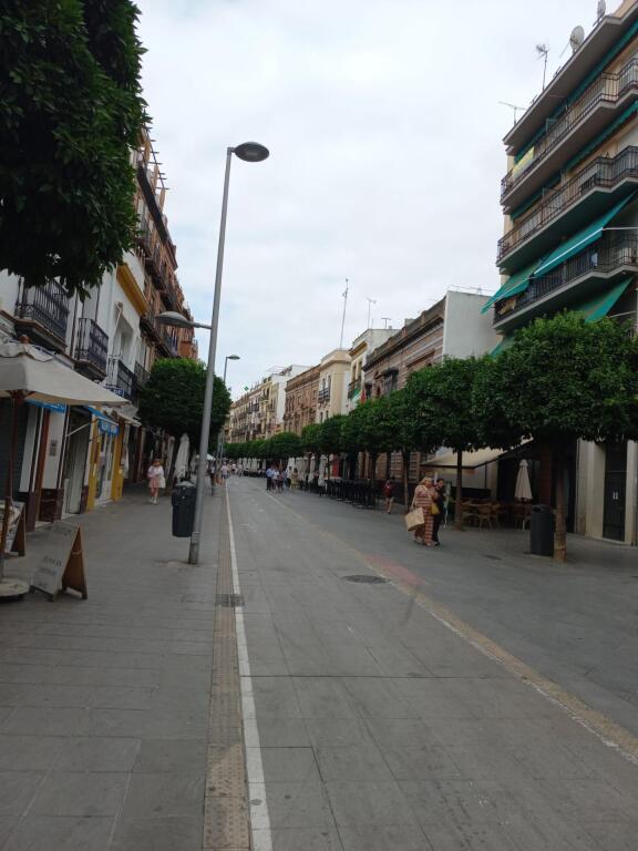 PISO EN VENTA EN PLENO CORAZÓN DE TRIANA - foto 38