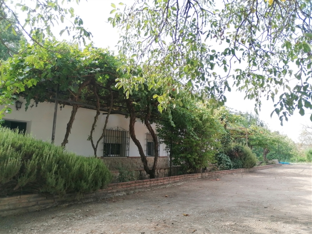 Casa de campo-Masía en Venta en Ronda Málaga - foto 5