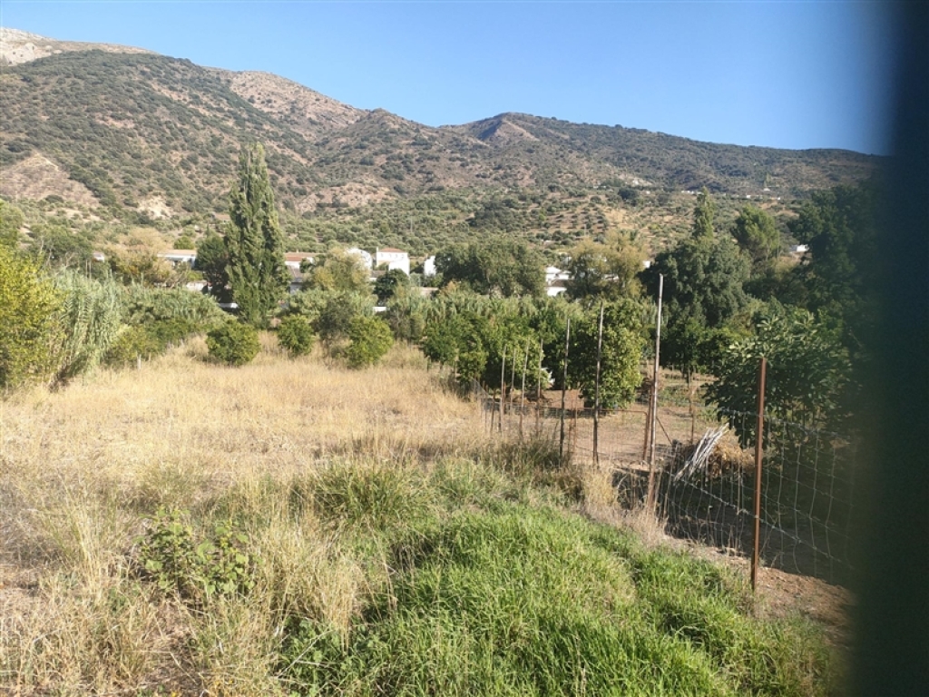 Casa de campo-Masía en Venta en Jimera De Libar Málaga - foto 7