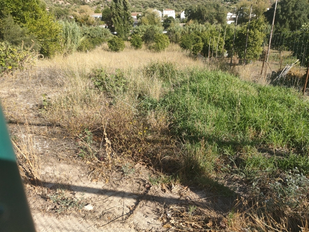 Casa de campo-Masía en Venta en Jimera De Libar Málaga - foto 8