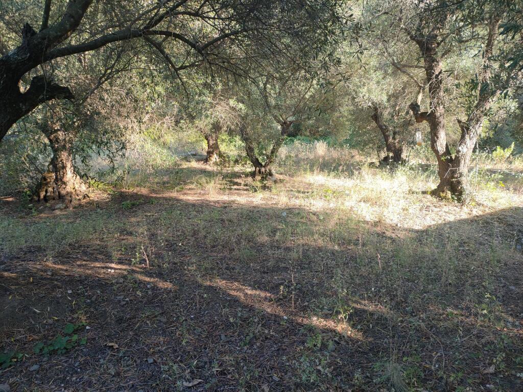 Parcela en Venta en Genalguacil Málaga - foto 3