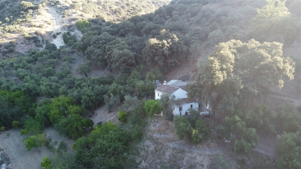 Casa de campo-Masía en Venta en Alpandeire Málaga - foto 3
