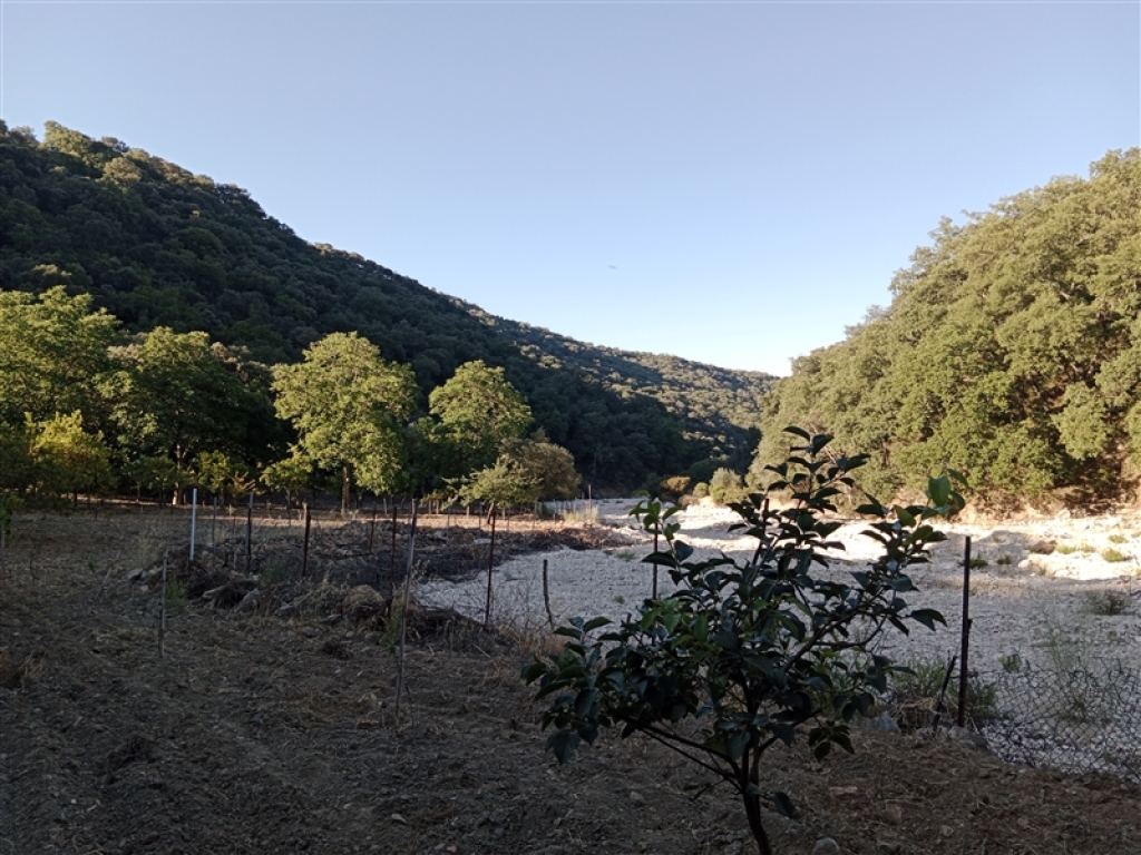 Casa de campo-Masía en Venta en Alpandeire Málaga - foto 34