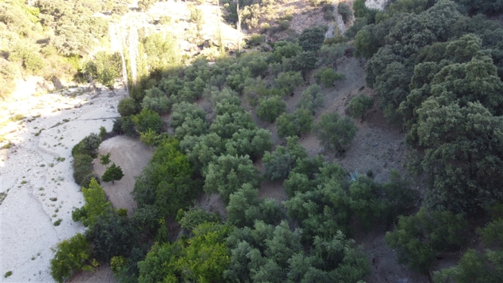 Casa de campo-Masía en Venta en Alpandeire Málaga - foto 48