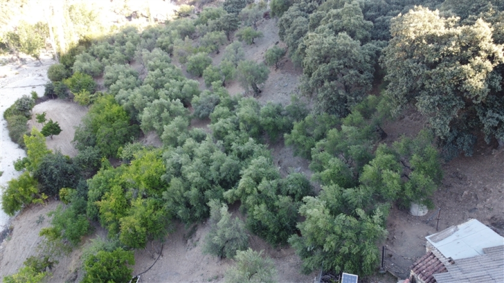 Casa de campo-Masía en Venta en Alpandeire Málaga - foto 49