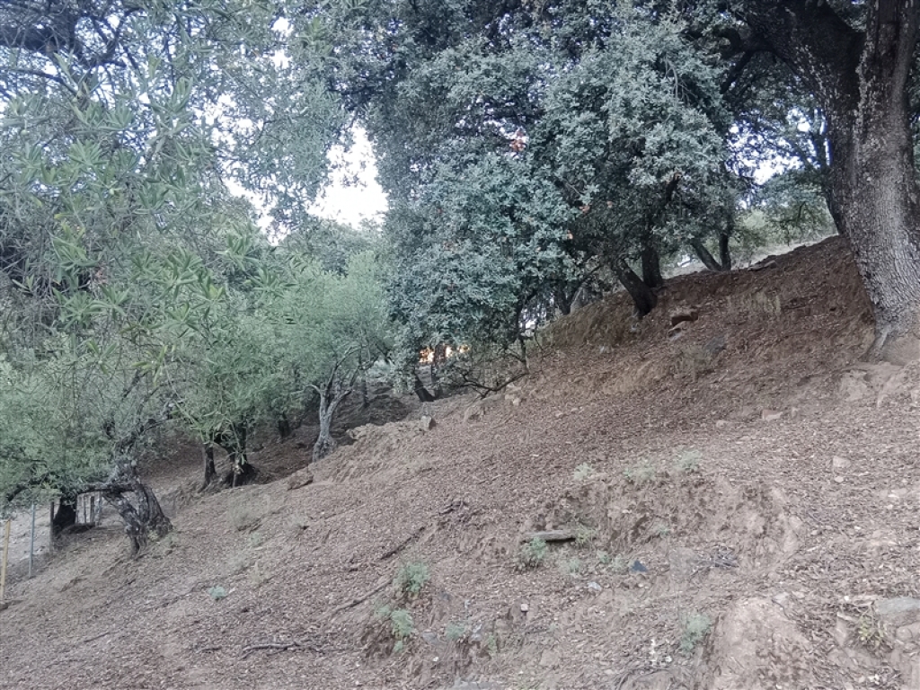 Casa de campo-Masía en Venta en Alpandeire Málaga - foto 52