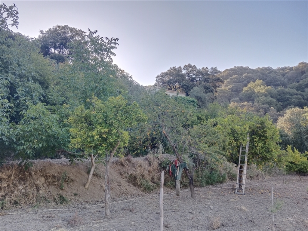 Casa de campo-Masía en Venta en Alpandeire Málaga - foto 60