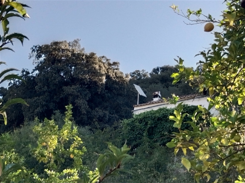 Casa de campo-Masía en Venta en Alpandeire Málaga - foto 62
