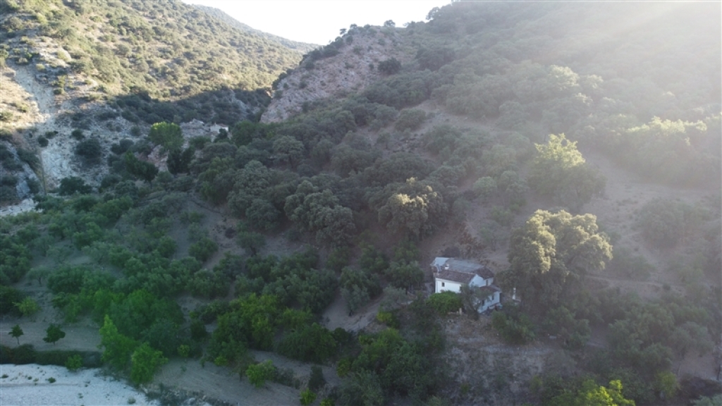 Casa de campo-Masía en Venta en Alpandeire Málaga - foto 8