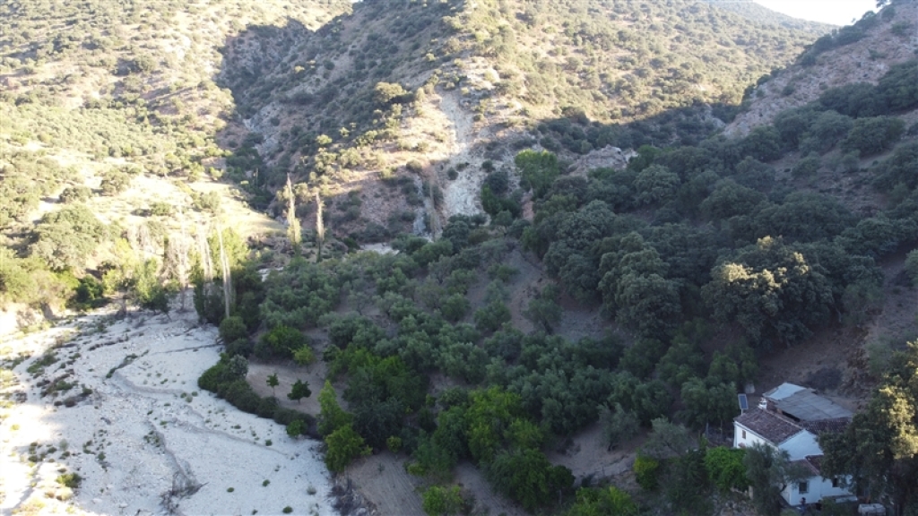 Casa de campo-Masía en Venta en Alpandeire Málaga - foto 9