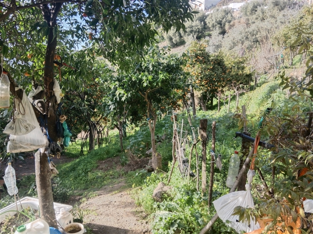 Casa de campo-Masía en Venta en Jubrique Málaga - foto 14