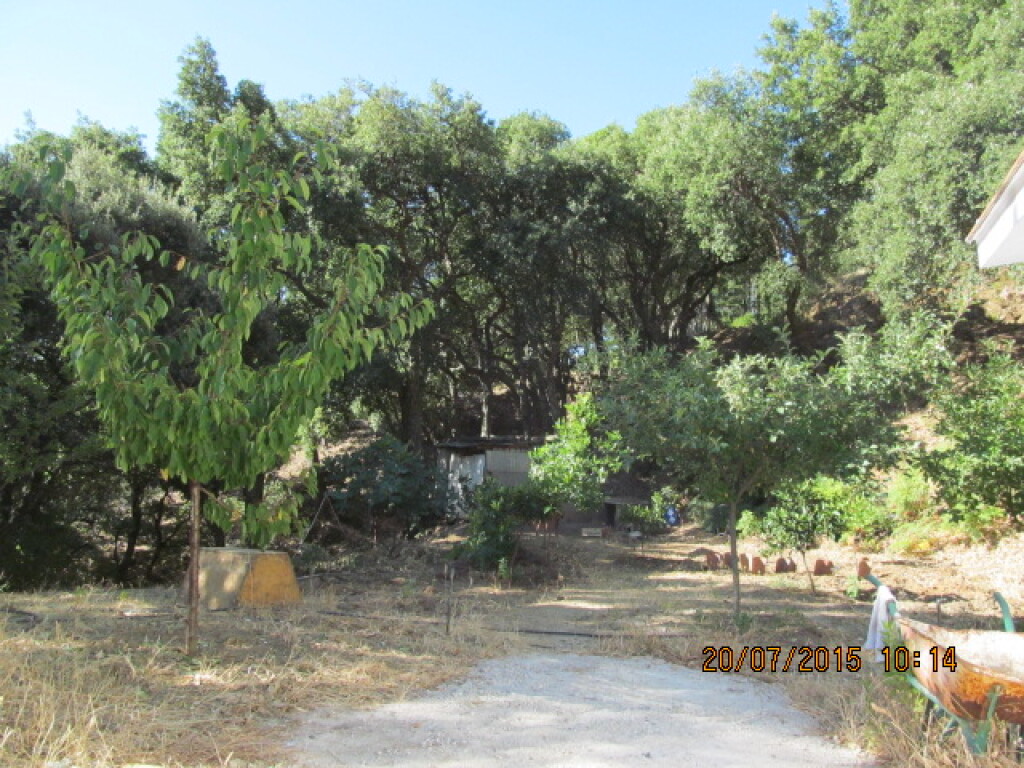 Casa de campo-Masía en Venta en Jubrique Málaga - foto 12