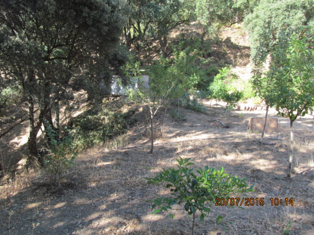 Casa de campo-Masía en Venta en Jubrique Málaga - foto 14