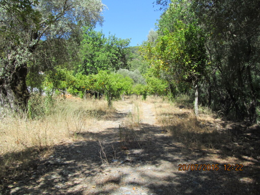 Casa de campo-Masía en Venta en Jubrique Málaga - foto 19