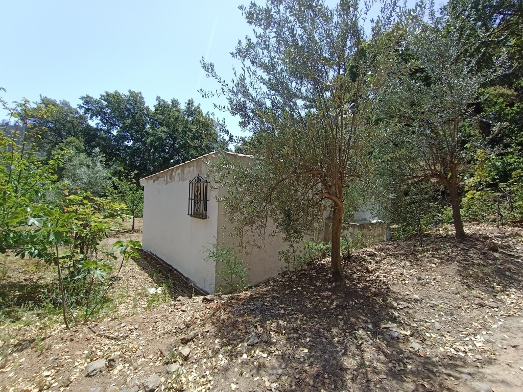 Casa de campo-Masía en Venta en Jubrique Málaga - foto 20