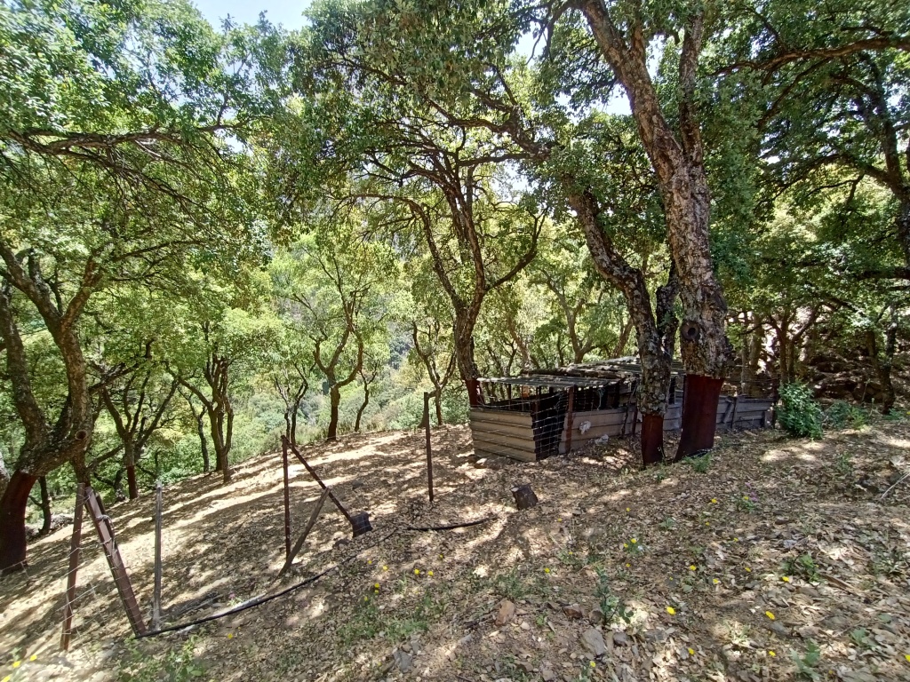 Casa de campo-Masía en Venta en Jubrique Málaga - foto 21