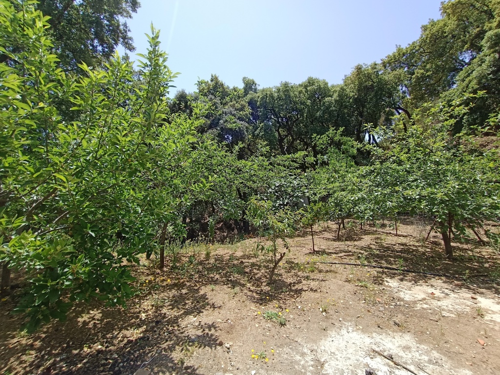 Casa de campo-Masía en Venta en Jubrique Málaga - foto 24