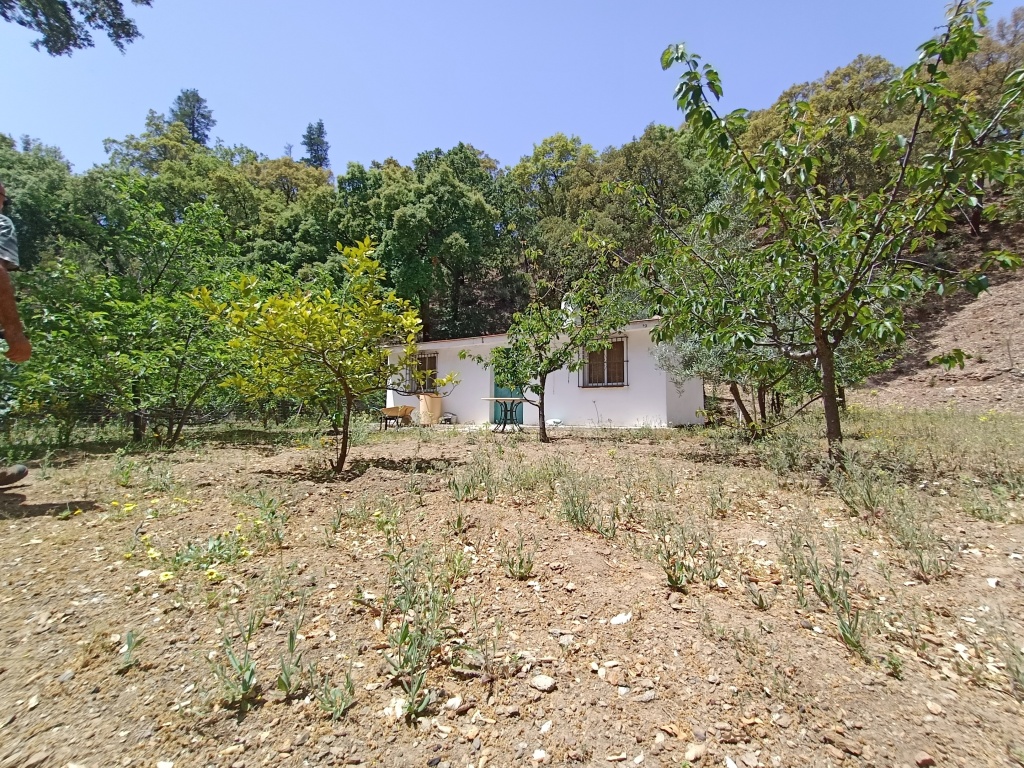 Casa de campo-Masía en Venta en Jubrique Málaga - foto 7