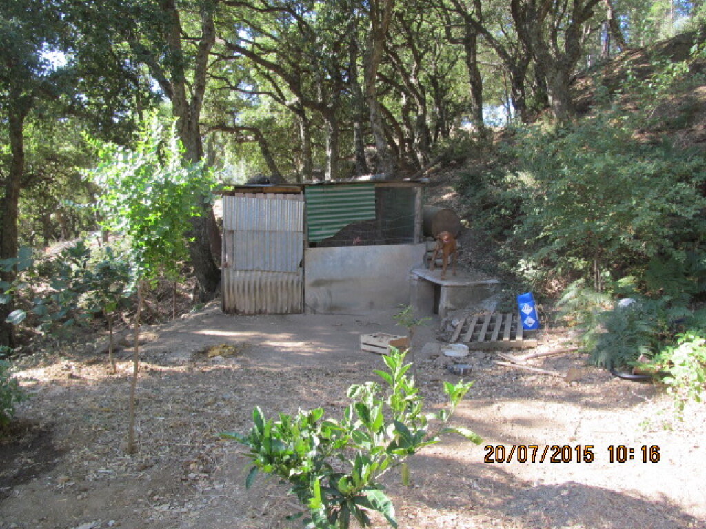 Casa de campo-Masía en Venta en Jubrique Málaga - foto 10