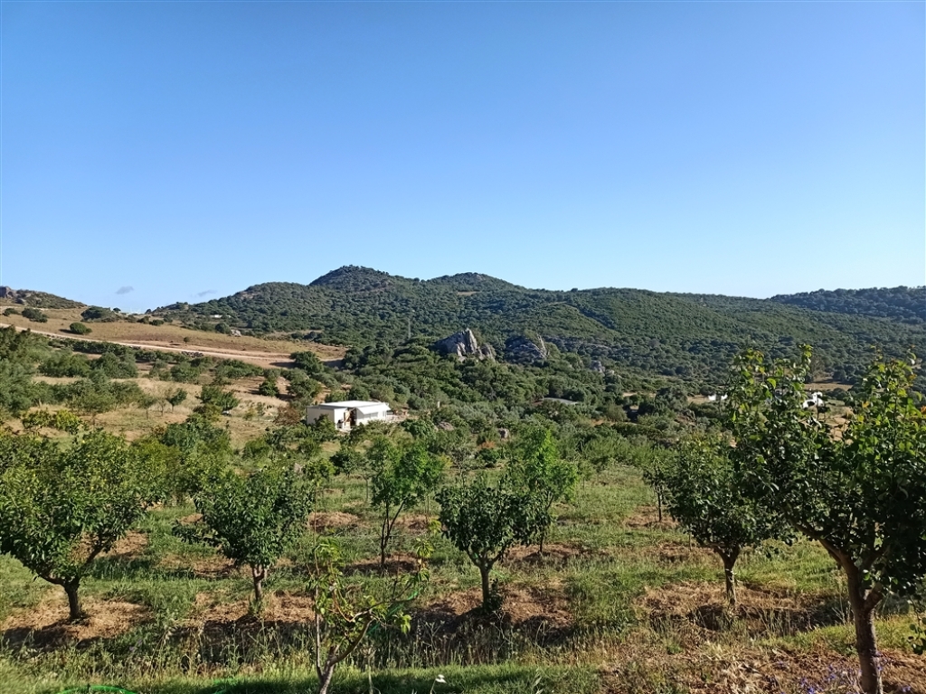 Suelo rústico en Venta en Casares Málaga