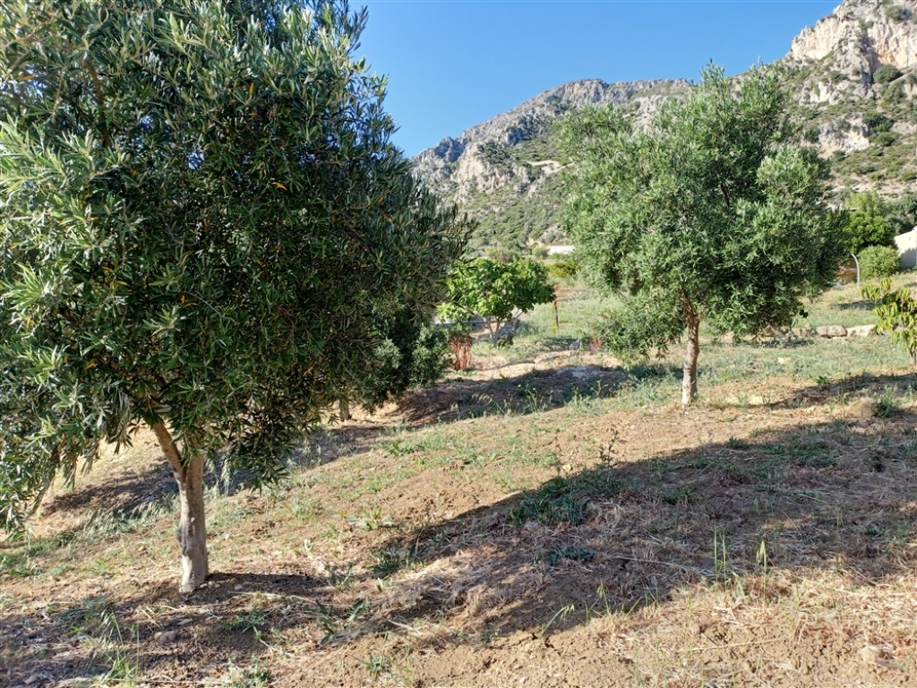 Suelo rústico en Venta en Casares Málaga - foto 12