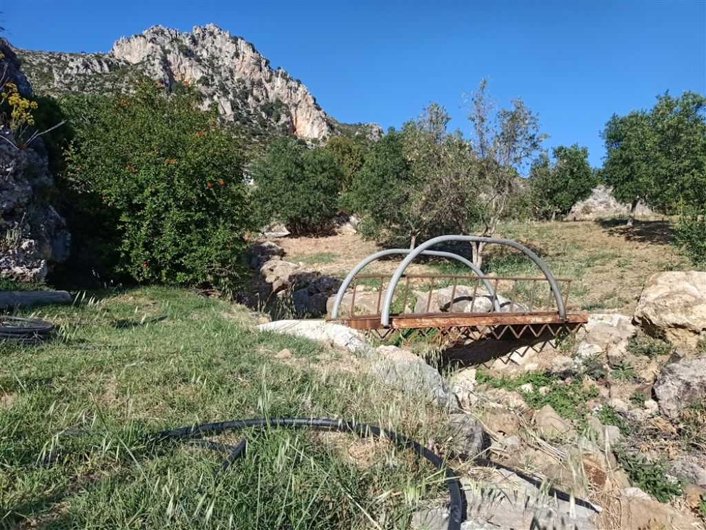 Suelo rústico en Venta en Casares Málaga - foto 16