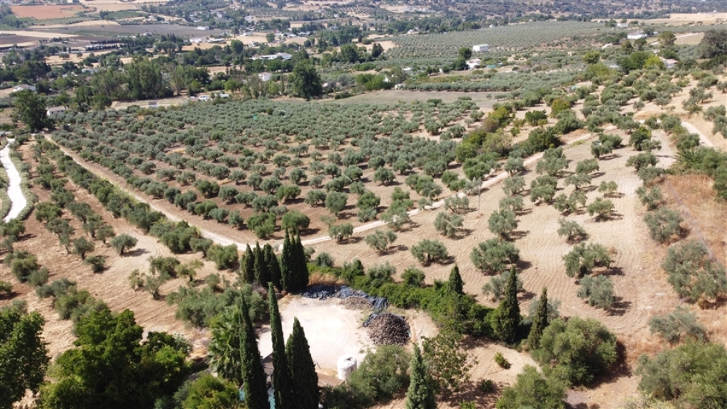 Casa de campo-Masía en Venta en Ronda Málaga - foto 3
