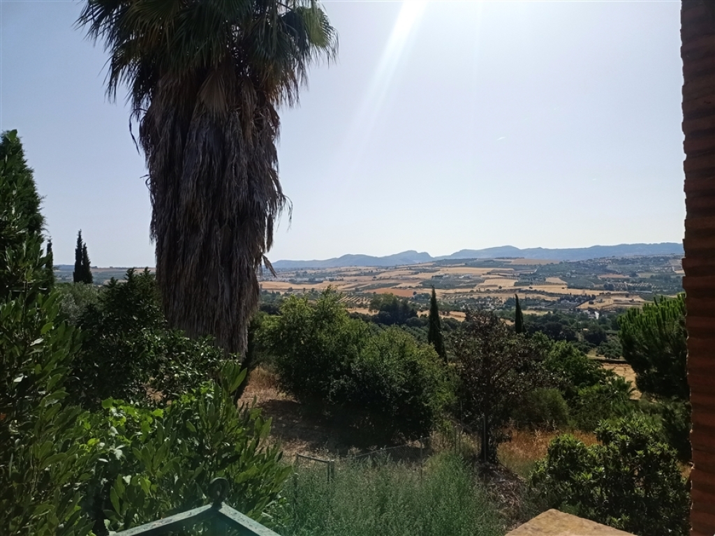 Casa de campo-Masía en Venta en Ronda Málaga - foto 28