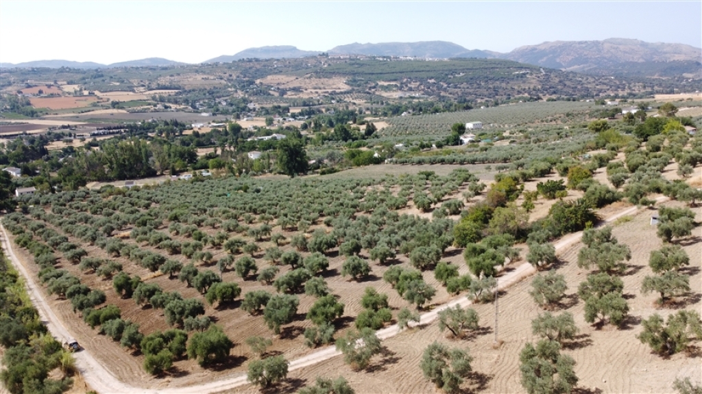 Casa de campo-Masía en Venta en Ronda Málaga - foto 4