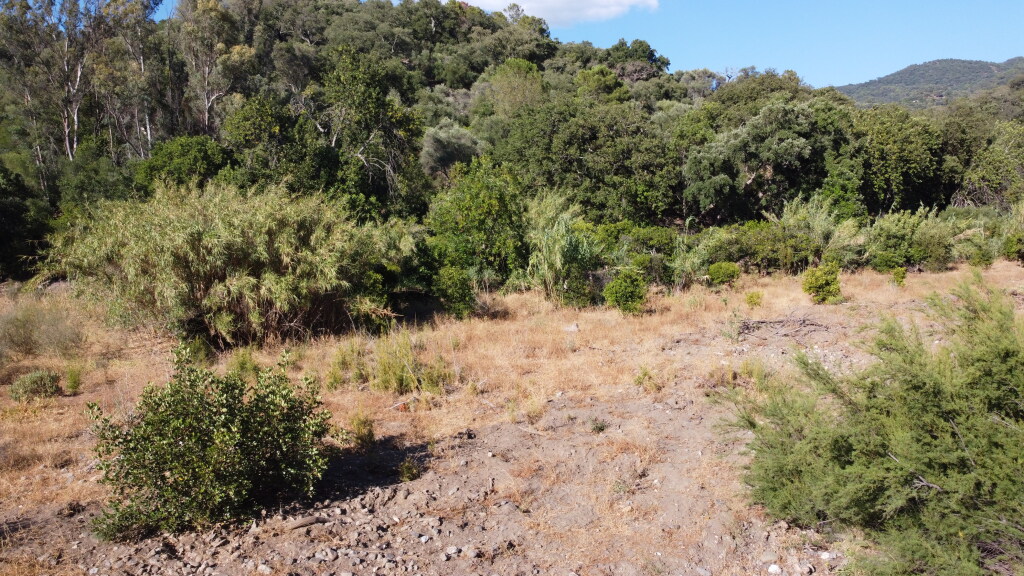 Casa de campo-Masía en Venta en Benarraba Málaga - foto 3